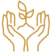 Savoirs indigènes préservés